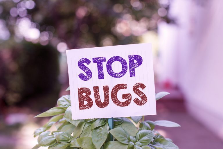 Read more about the article Discover the Secret to a Pest-Free Home NOW! Eco-friendly Solutions that Work – Click to Win the War Against Pests!
