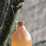wasp trap, glass bottle, glass