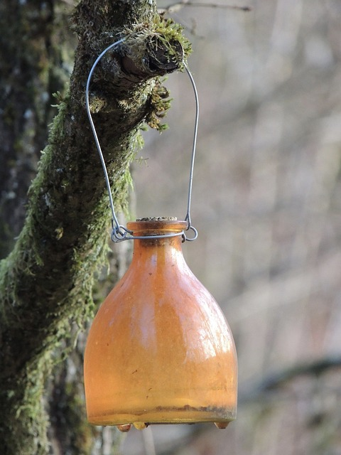 wasp trap, glass bottle, glass