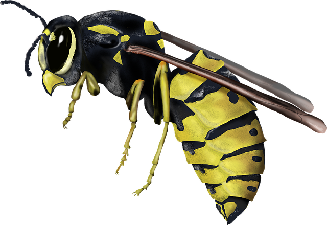 Read more about the article The Sting of Summer: How to Handle Wasp Attacks in Oklahoma