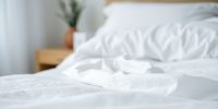 10 Warning Signs of Bed Bugs in Your Home and How to Handle Them
