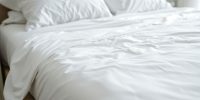 Effective Strategies on How to Get Rid of Bed Bugs for a Peaceful Sleep